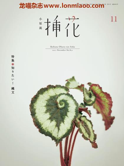 [日本版]小原流插花 花艺设计 PDF电子杂志 2021年11月刊